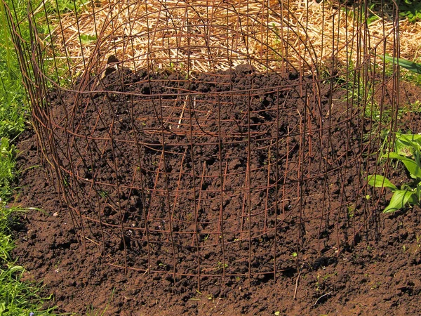 Planted Potatoes Protective Wire Fence Cover — Stock Photo, Image