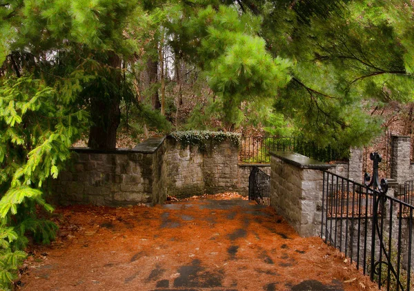 Stairs to a garden — Stock Photo, Image