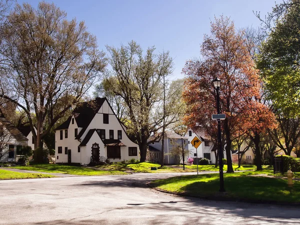 Nachbarschaft in Rochester, New York — Stockfoto