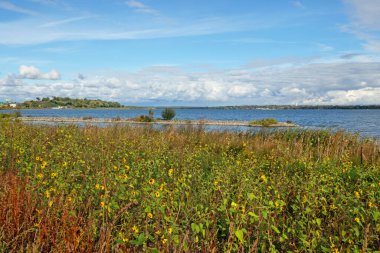 Geddes, New York 'taki Onondaga Gölü Batı Yolu' ndan görüntü