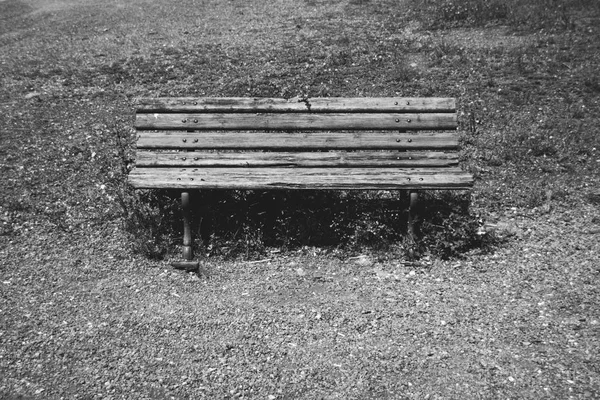 Park Bench Images. Old bench on the background of grass and foliage on black and white photo