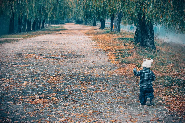 Sonbahar parkta çalışan mutlu küçük çocuk