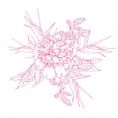 Elegancia csokor rózsaszín flowrs és gyógynövényekkel elszigetelt fehér background. Kézzel rajzolt vektoros illusztráció.