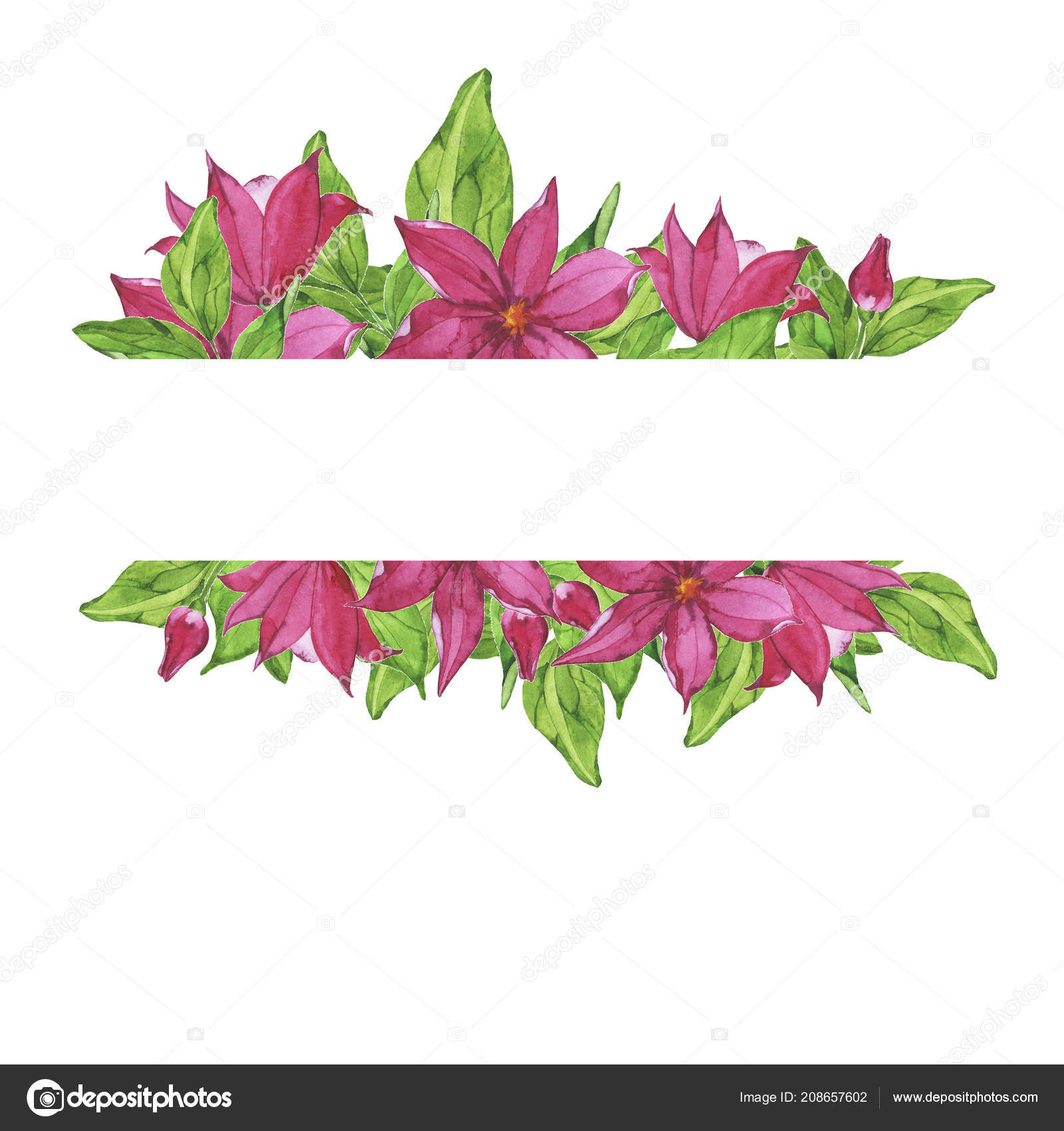 Green Leaves Pink Flowers Border Isolated White Background Hand Drawn Stock Photo C Angry Red Cat 208657602