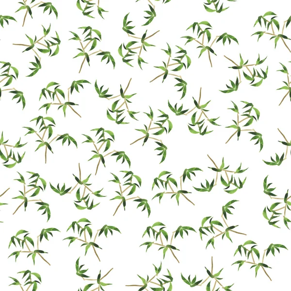 Seamless Pattern Bamboo Branches White Background Hand Drawn Watercolor Illustration — Stock Photo, Image