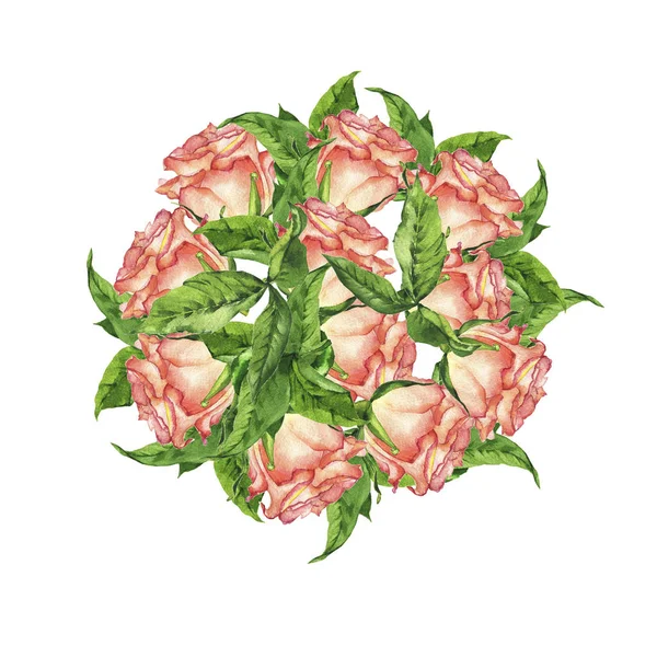 Świeże Róże Beżowy Zielony Liści Koło Białym Tle Ilustracja Akwarela — Zdjęcie stockowe