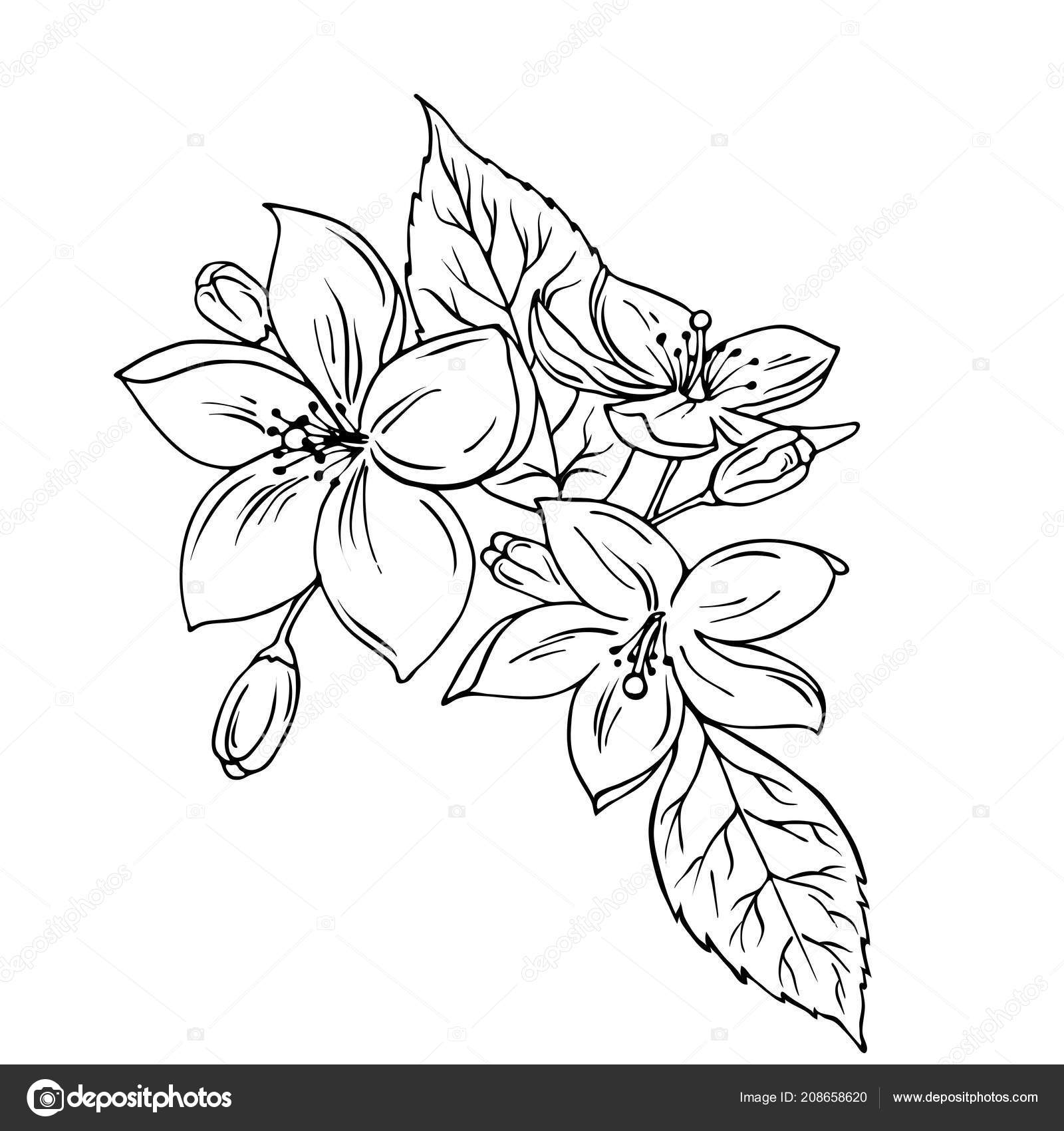 Aggregate more than 153 flowers and leaves drawing latest