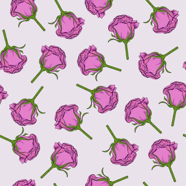 Güzel mor gül Dikişsiz desen gri arka plan üzerinde