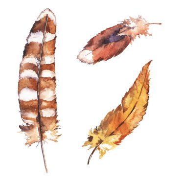 Beyaz arka plan üzerinde inanılmaz farklı tüyler