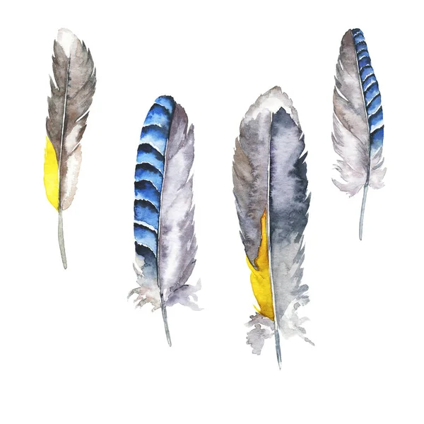 Amazing Set Feathers White Background — Stock Photo, Image