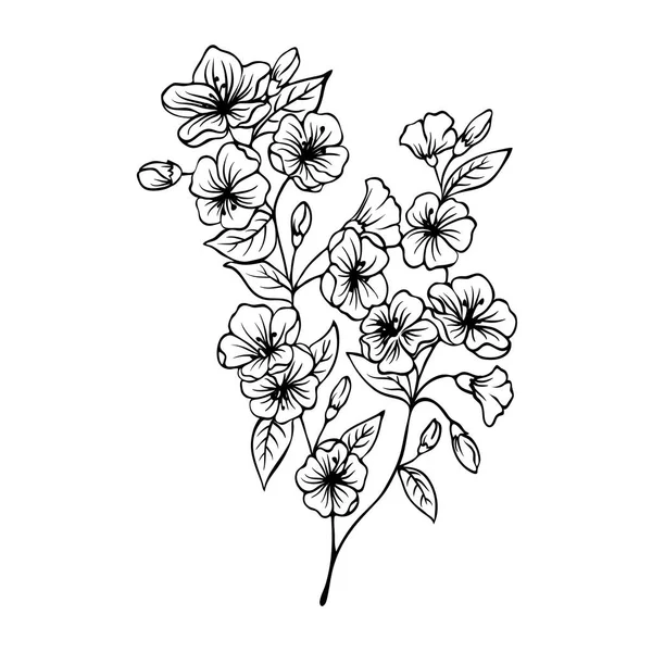 Rama Monocromática Floreciente Con Flores Hojas Aisladas Sobre Fondo Blanco — Archivo Imágenes Vectoriales
