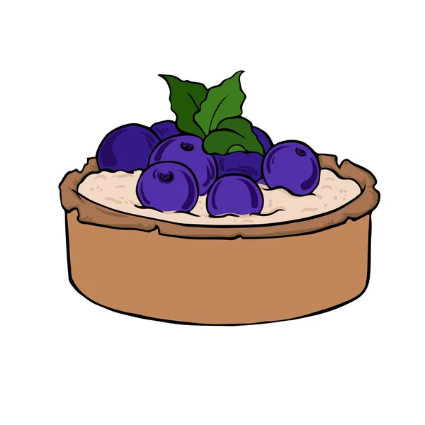 在白色背景上分离的奶油和新鲜蓝莓蛋糕 手绘的向量例证 — 图库矢量图片