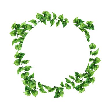 Elegance yeşil beyaz arka plan üzerinde izole daire dalları. El suluboya resim çekilmiş.