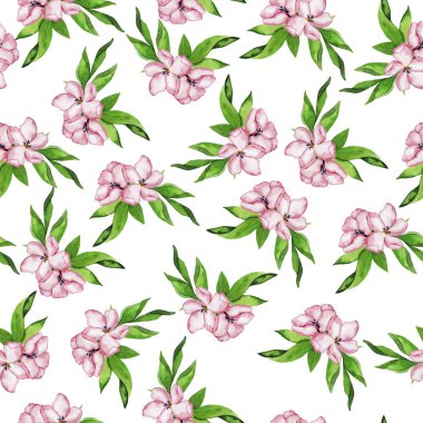 Pembe yaz çiçek ve beyaz arka plan üzerinde taze yeşil yaprakları ile Seamless modeli. El suluboya resim çekilmiş.