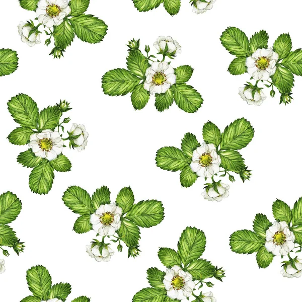 Naadloze Patroon Met Aardbei Bladeren Bloemen Boeketten Witte Achtergrond Hand — Stockfoto