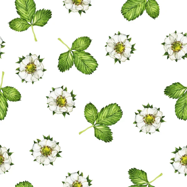 Naadloze Patroon Met Aardbei Bladeren Bloemen Witte Achtergrond Hand Getekend — Stockfoto