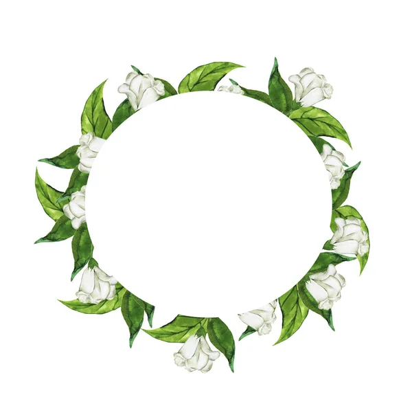 Lilly Białe Kwiaty Zieleń Liści Okrągłe Ramki Białym Tle Ilustracja — Zdjęcie stockowe