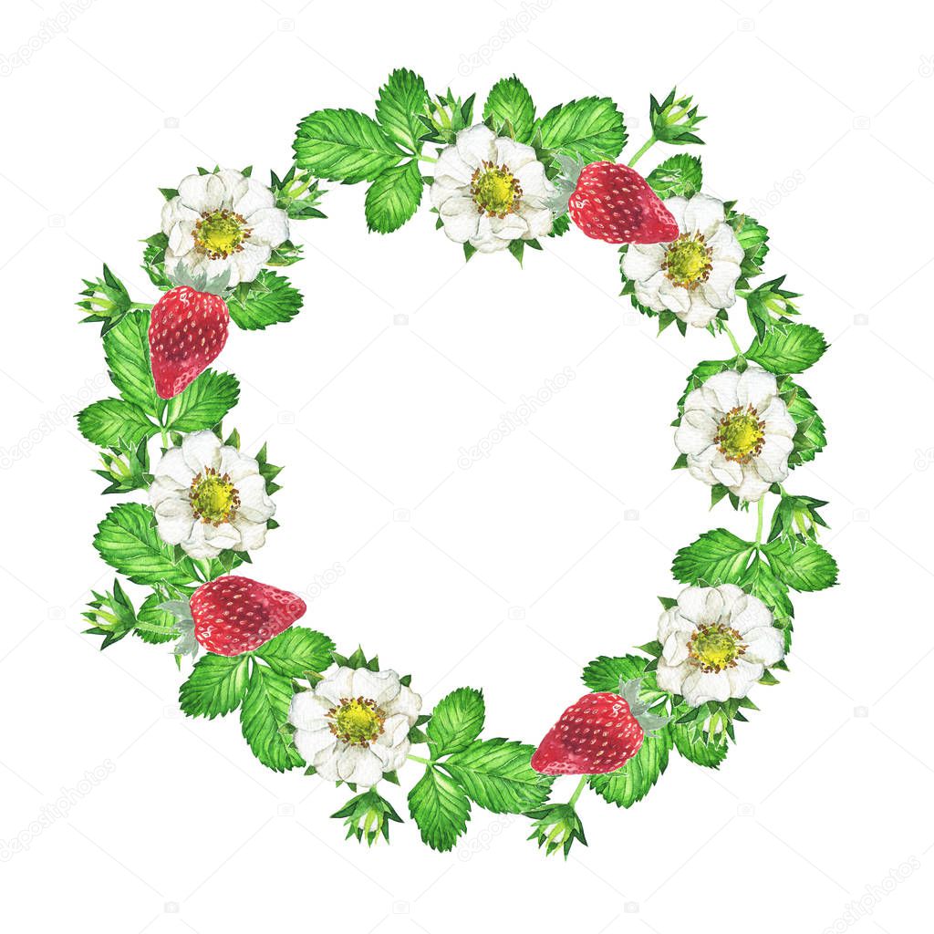 Strawberry flowers, berries and leaves border isolated on white background. Hand drawn watercolor illustration.