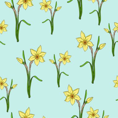 Pastel mavi zemin üzerine sarı nergis çiçekleri ile Seamless modeli. Çizilmiş vektör çizim el.
