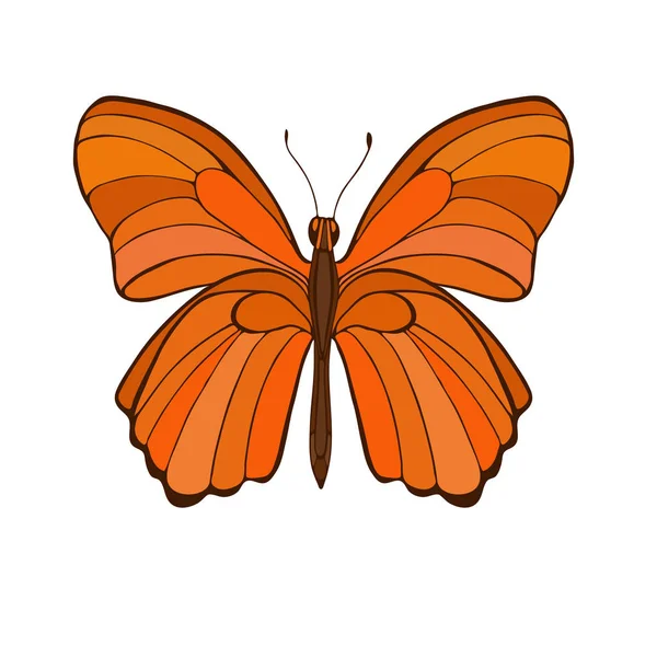 Большая Оранжевая Бабочка Белом Фоне Ручной Рисунок Вектора — стоковый вектор