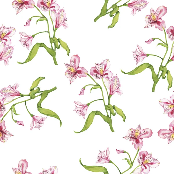 Красивая Орхидея Зелеными Листьями Бесшовный Узор Белом Фоне — стоковое фото