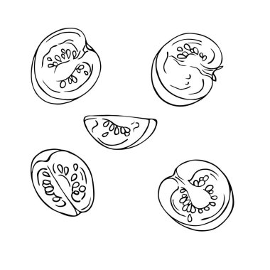 Beyaz arka plan üzerinde izole kiraz domates dilimleri kümesi. Çizilmiş vektör çizim el.