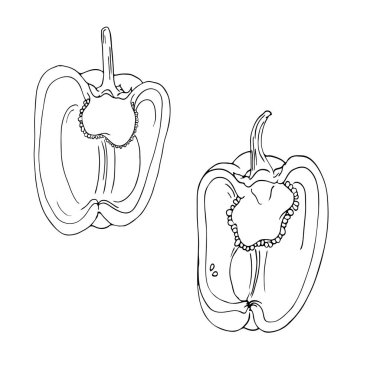 Kırmızı biber kroki üzerinde izole beyaz arka plan. Çizilmiş vektör çizim el. 
