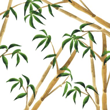 Bambu Ağacı ve yaprakları arka plan. El suluboya resim çekilmiş. 