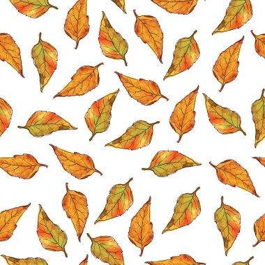 Dikişsiz desen witn kahverengi ve sarı sonbahar beyaz zemin üzerine bırakır. Suluboya ve mürekkep çizilen illüstrasyon el.