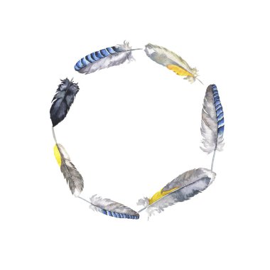 Beyaz arka plan üzerinde izole yabani kuş gri tüyler sınır. El suluboya resim çekilmiş. 