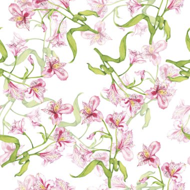 Beyaz arka plan üzerinde pembe lilly çiçekli seamless modeli. El suluboya resim çekilmiş.