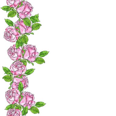 Güzel pembe güller ve beyaz zemin üzerine yeşil yaprakları ile sorunsuz sınır. Suluboya ve mürekkep çizilen illüstrasyon el.