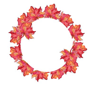 Kırmızı akçaağaç çerçeve beyaz zemin üzerine bırakır. Suluboya ve mürekkep çizilen illüstrasyon el.