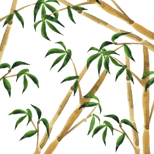 Bamboo tree and leaves background. Hand drawn watercolor illustration. 