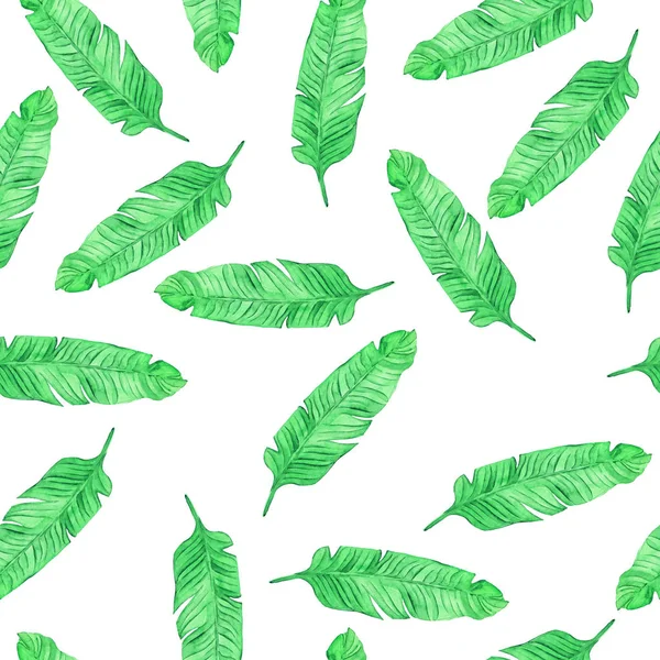 Wzór Świeżych Zielonych Palm Liść Białym Tle Ilustracja Akwarela — Zdjęcie stockowe