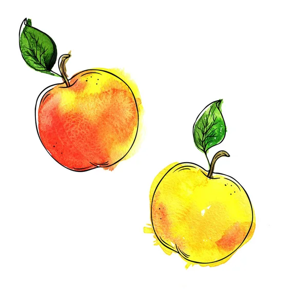 新鮮な黄色リンゴと緑の葉が白い背景で隔離のセットです 手描き水彩 インクのイラスト — ストック写真