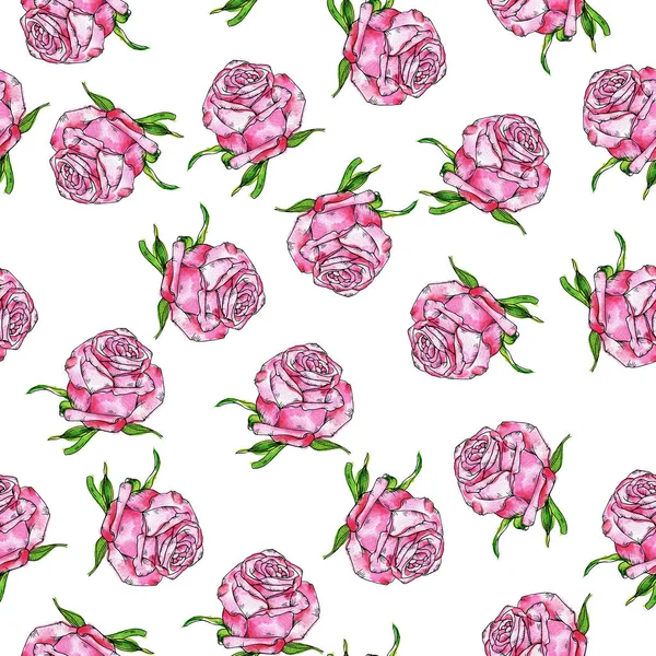 Безшовний Візерунок Свіжими Рожевими Трояндами Білому Тлі Ручна Намальована Акварель — стокове фото