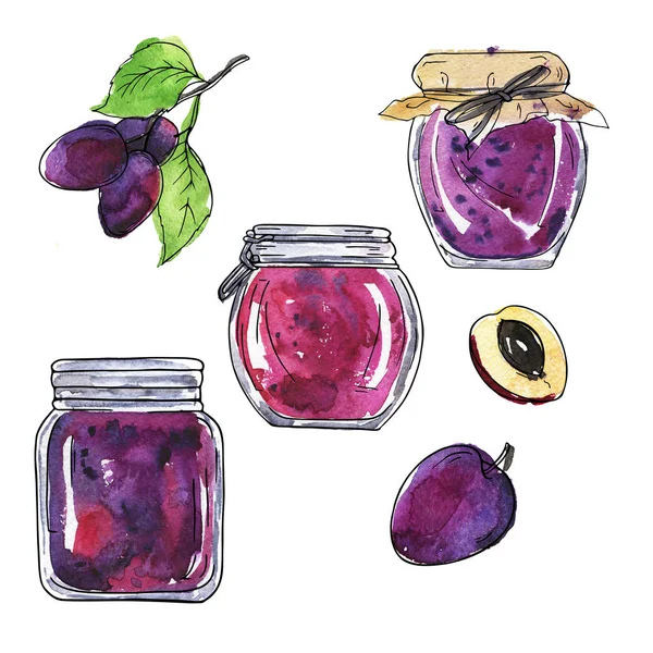 Set of glass jars with jelly or jam and fresh plum berries and branch isolated on white background. Hand drawn watercolor and ink illustration.