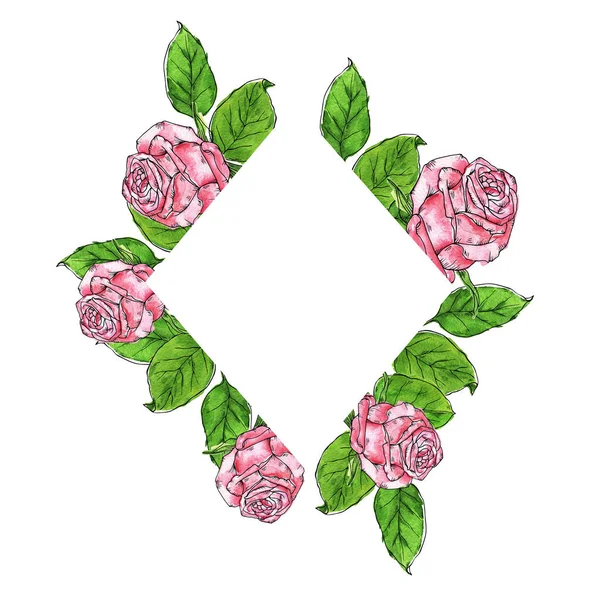 Różowe Róże Ramki Zielonych Liści Białym Tle Ilustracja Akwareli Tuszu — Zdjęcie stockowe