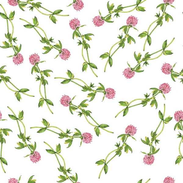 Naadloze Patroon Met Roze Clover Bloemen Witte Achtergrond Hand Getekend — Stockfoto