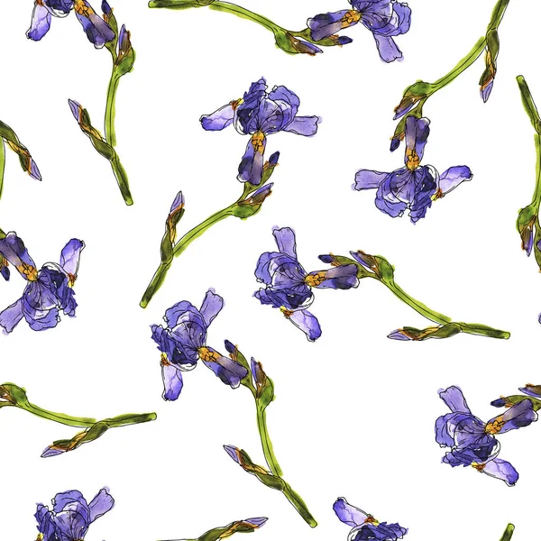 Vzor Bezešvé Fialovými Fleur Lis Květy Bílém Pozadí Ručně Tažené — Stock fotografie