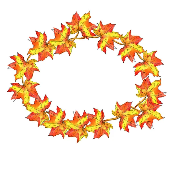 Sarı akçaağaç çerçeve beyaz zemin üzerine bırakır. Suluboya ve mürekkep çizilen illüstrasyon el.