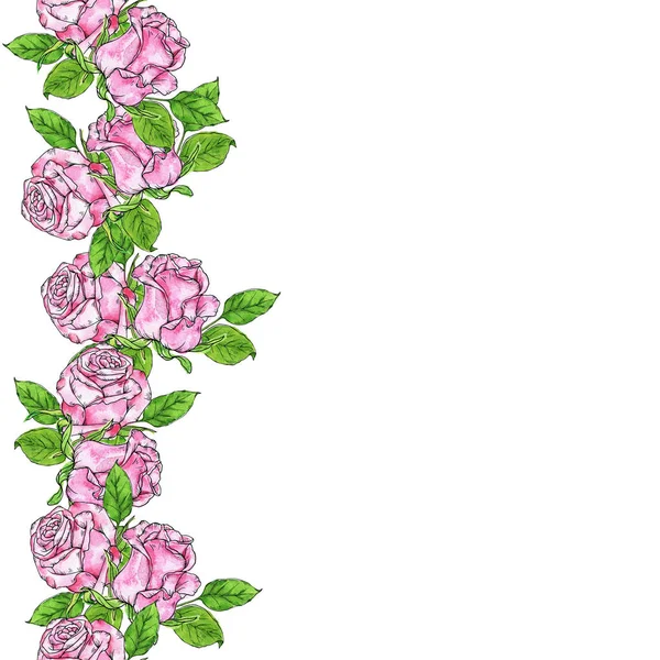 Bezszwowe Granica Piękne Różowe Róże Zielonych Liści Białym Tle Ilustracja — Zdjęcie stockowe