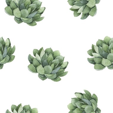 Beyaz zemin üzerine yeşil kaktüs bitkileri ile Seamless modeli. El suluboya resim çekilmiş. 