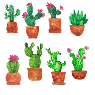 Yeşil kaktüs saksı pembe çiçekli Beyaz arka plan üzerinde izole kümesi. El suluboya resim çekilmiş. 
