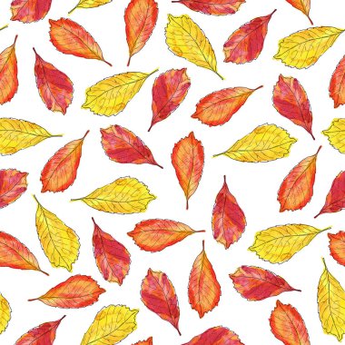Kırmızı ve sarı sonbahar ile Seamless modeli beyaz zemin üzerine bırakır. Suluboya ve mürekkep çizilen illüstrasyon el.
