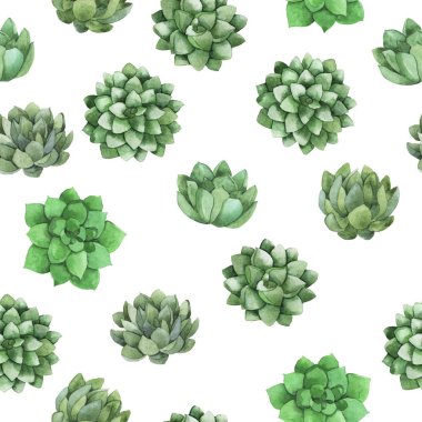 Beyaz arka plan üzerinde taze yeşil kaktüs bitkileri ile Seamless modeli. El suluboya resim çekilmiş.