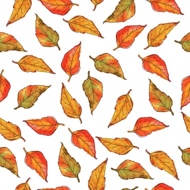 Beyaz arka plan üzerinde sonbahar yaprakları ile dikişsiz desen. El çizilmiş suluboya ve mürekkep illüstrasyon. 