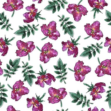 Pembe güller ve beyaz zemin üzerine yeşil yaprakları ile Seamless modeli. Suluboya ve mürekkep çizilen illüstrasyon el.