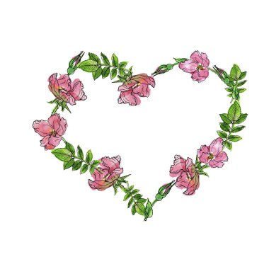 Pembe güller ve beyaz arka plan üzerinde izole yeşil yaprakları kalpli çerçeve. Suluboya ve mürekkep çizilen illüstrasyon el.